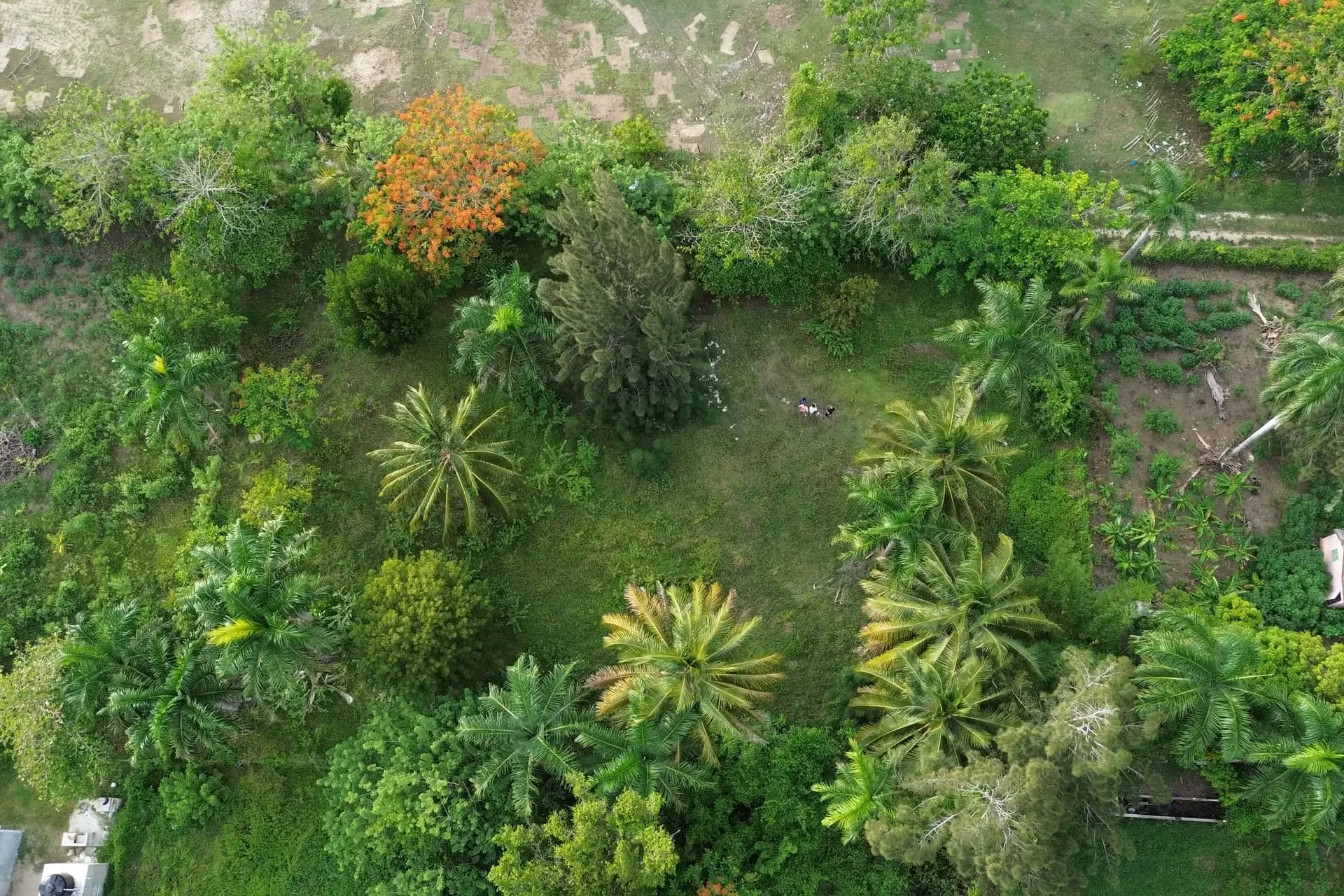 أرض للبيع في Cabarete East – قطعتان بمساحة 1,150 m² بالقرب من La Boca، الصورة 3