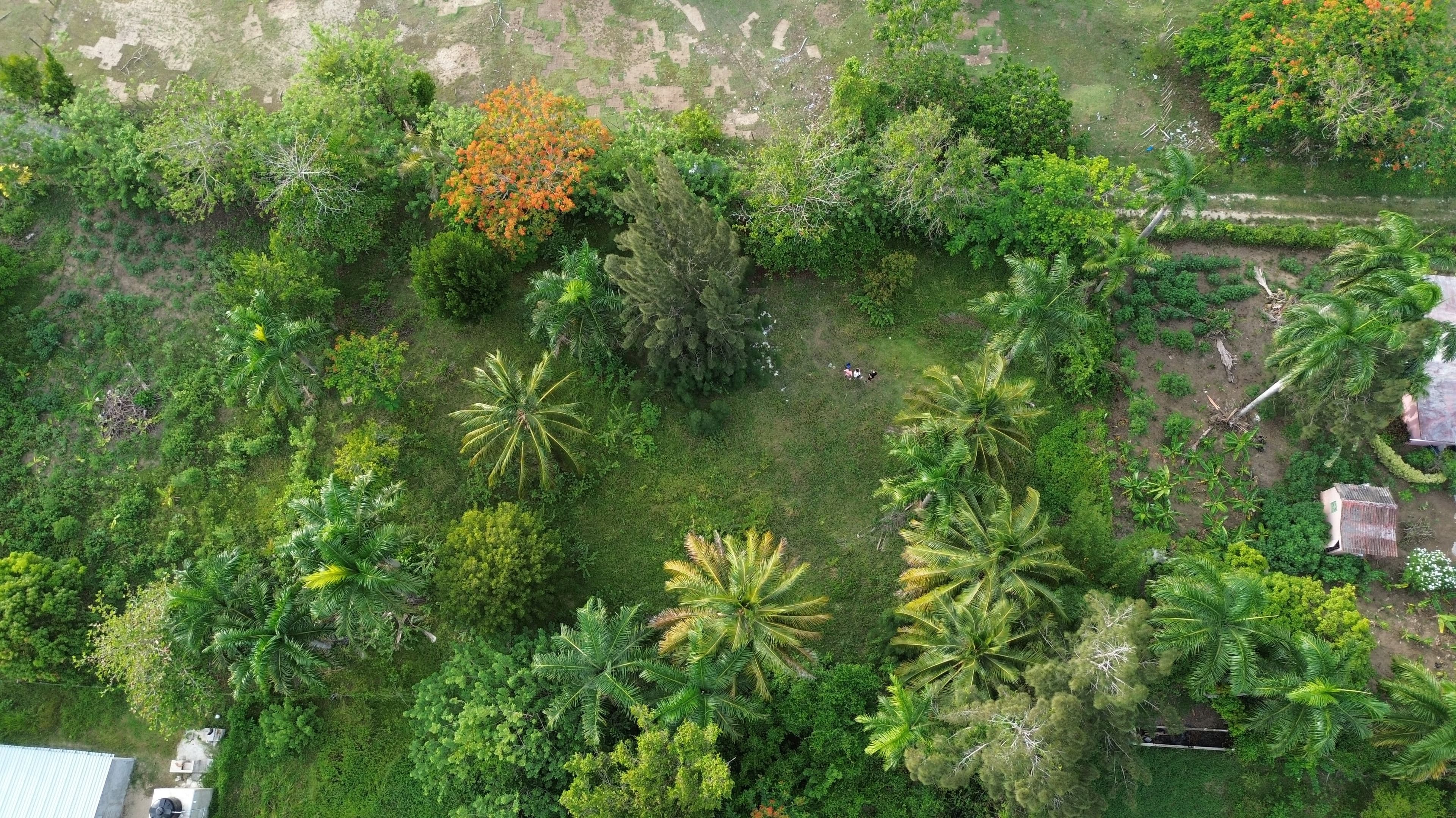 1,150 m² Building Lot near La Boca in Cabarete East — Garden