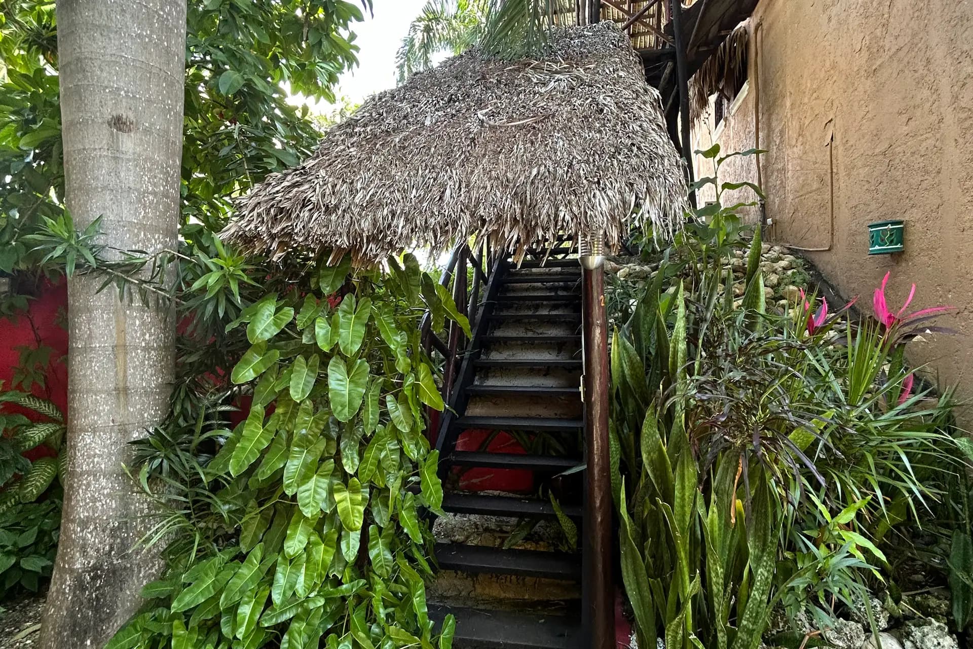Business Opportunity - Mexican Style Hotel steps away from the Beach، الصورة 7
