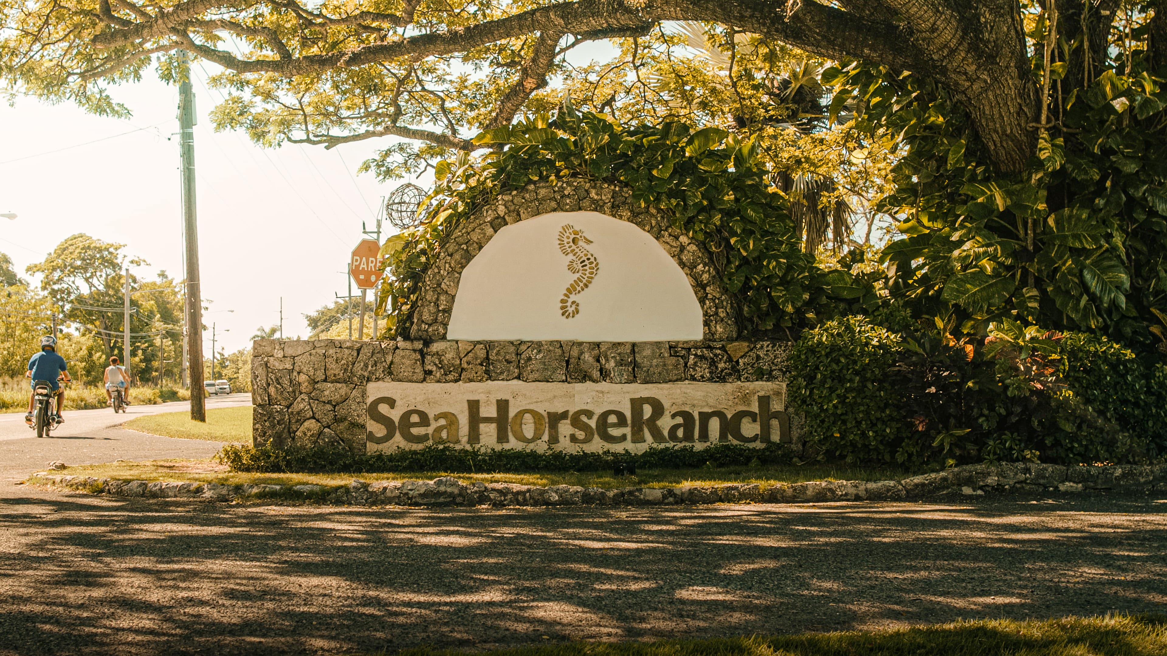 Seahorse