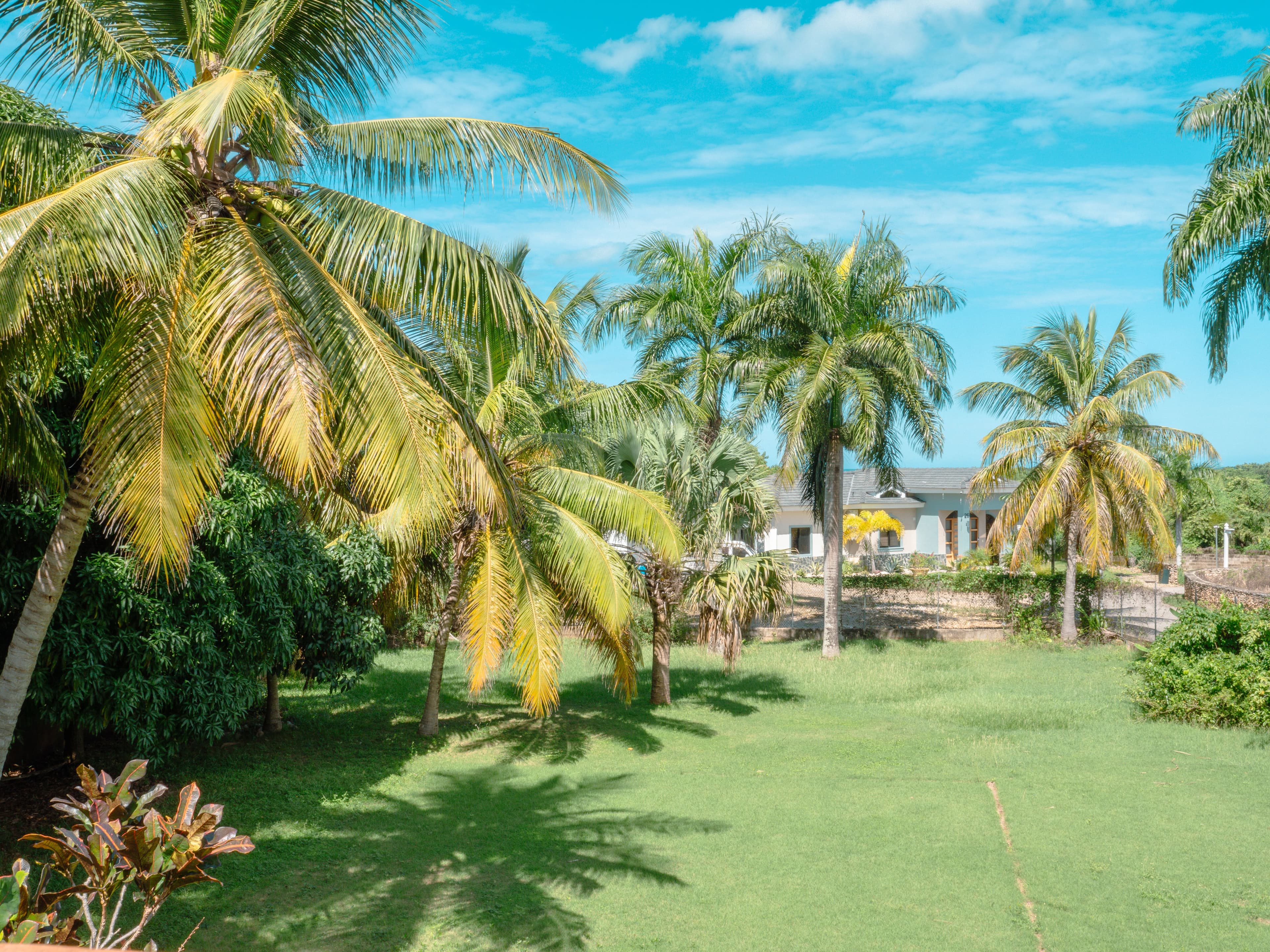 5-Bedroom Solar-Powered Villa with 20,000-Gallon Pool in Sosúa — Garden