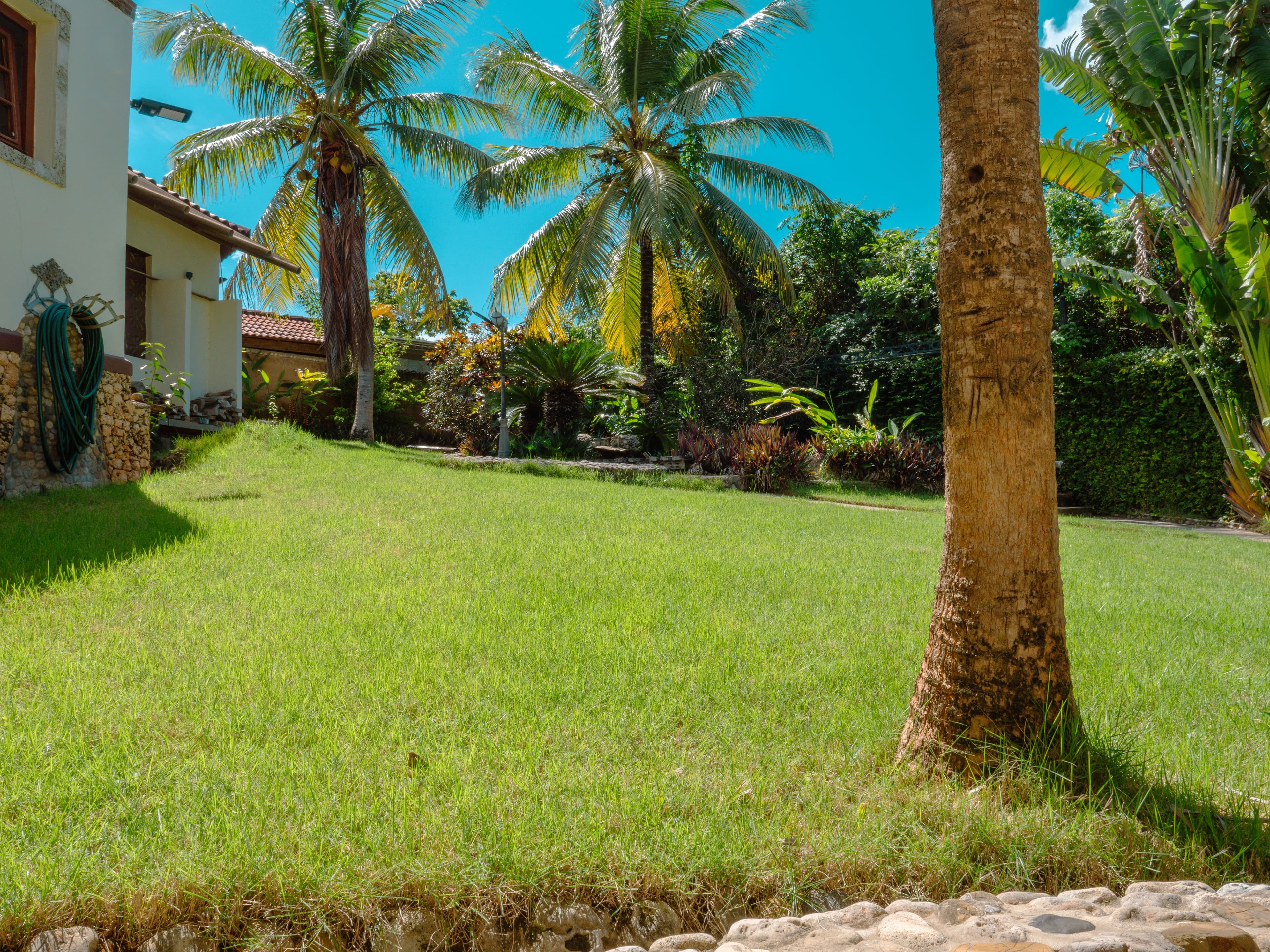 5-Bedroom Solar-Powered Villa with 20,000-Gallon Pool in Sosúa — Garden