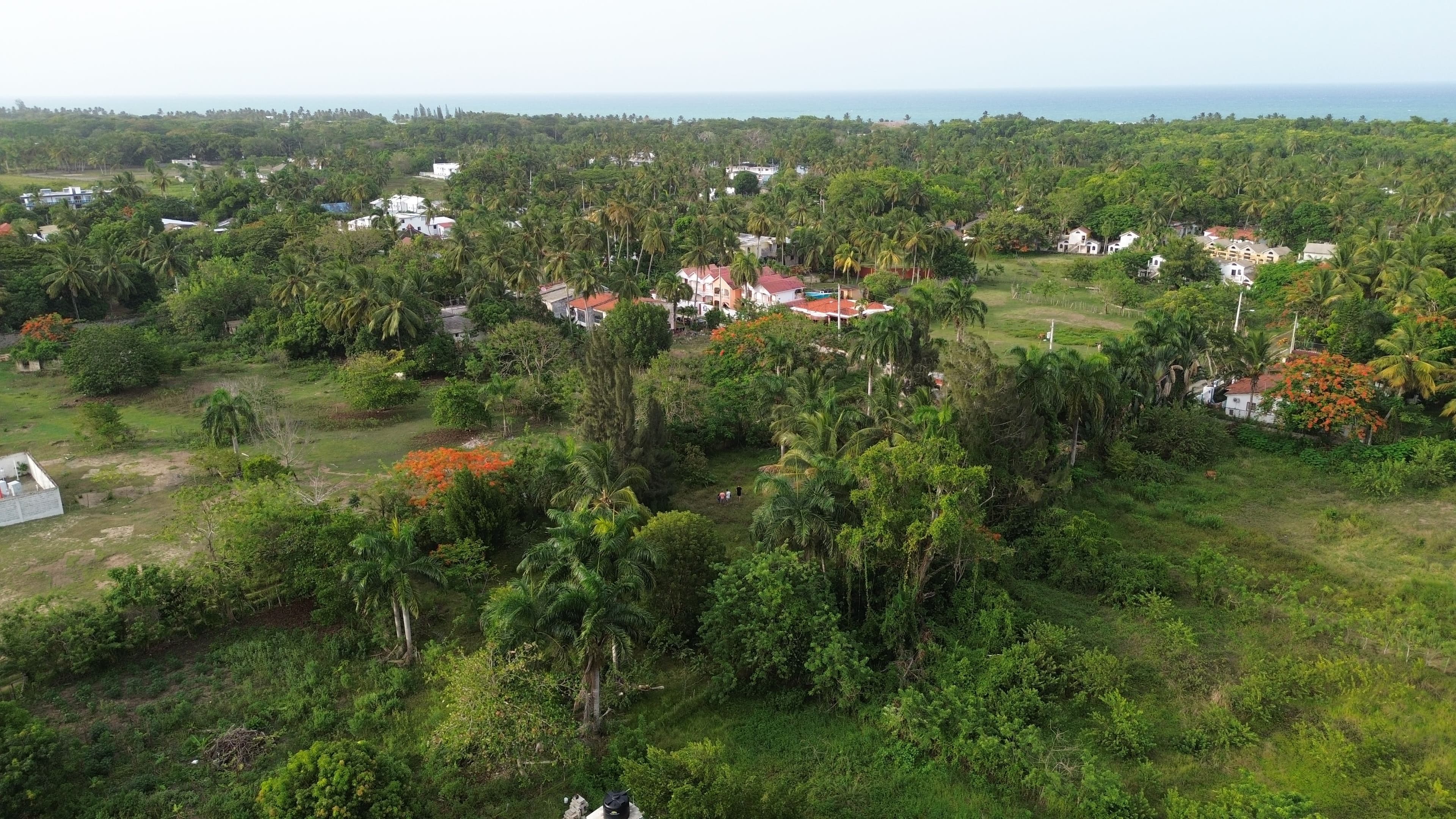 Terreno para construir de 1,150 m² cerca de La Boca en Cabarete Este — Surroundings