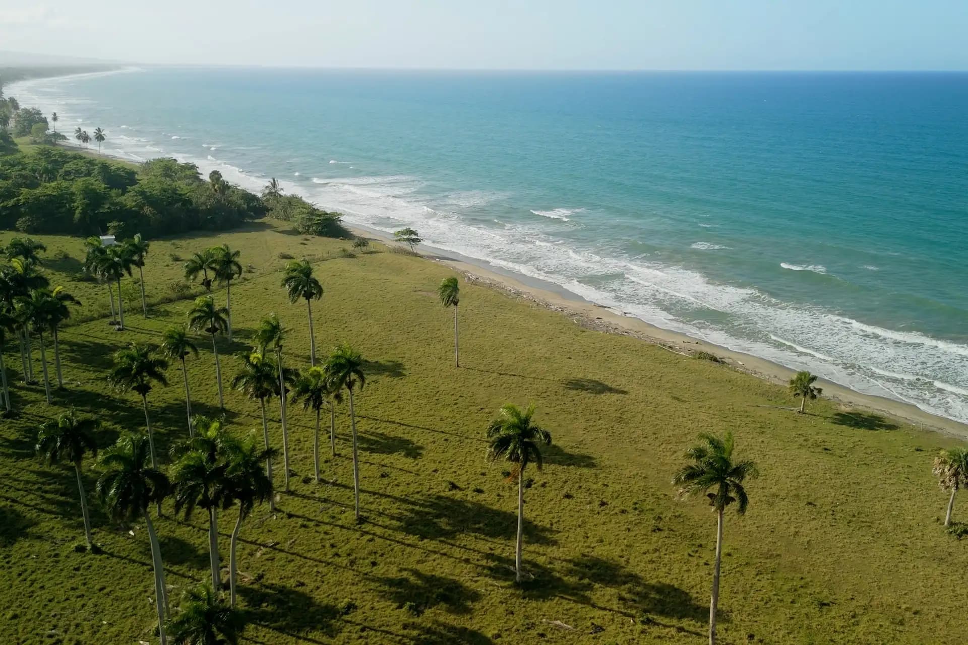 12,500 m² Beachfront Lot in Gaspar Hernández, Gaspar Hernández