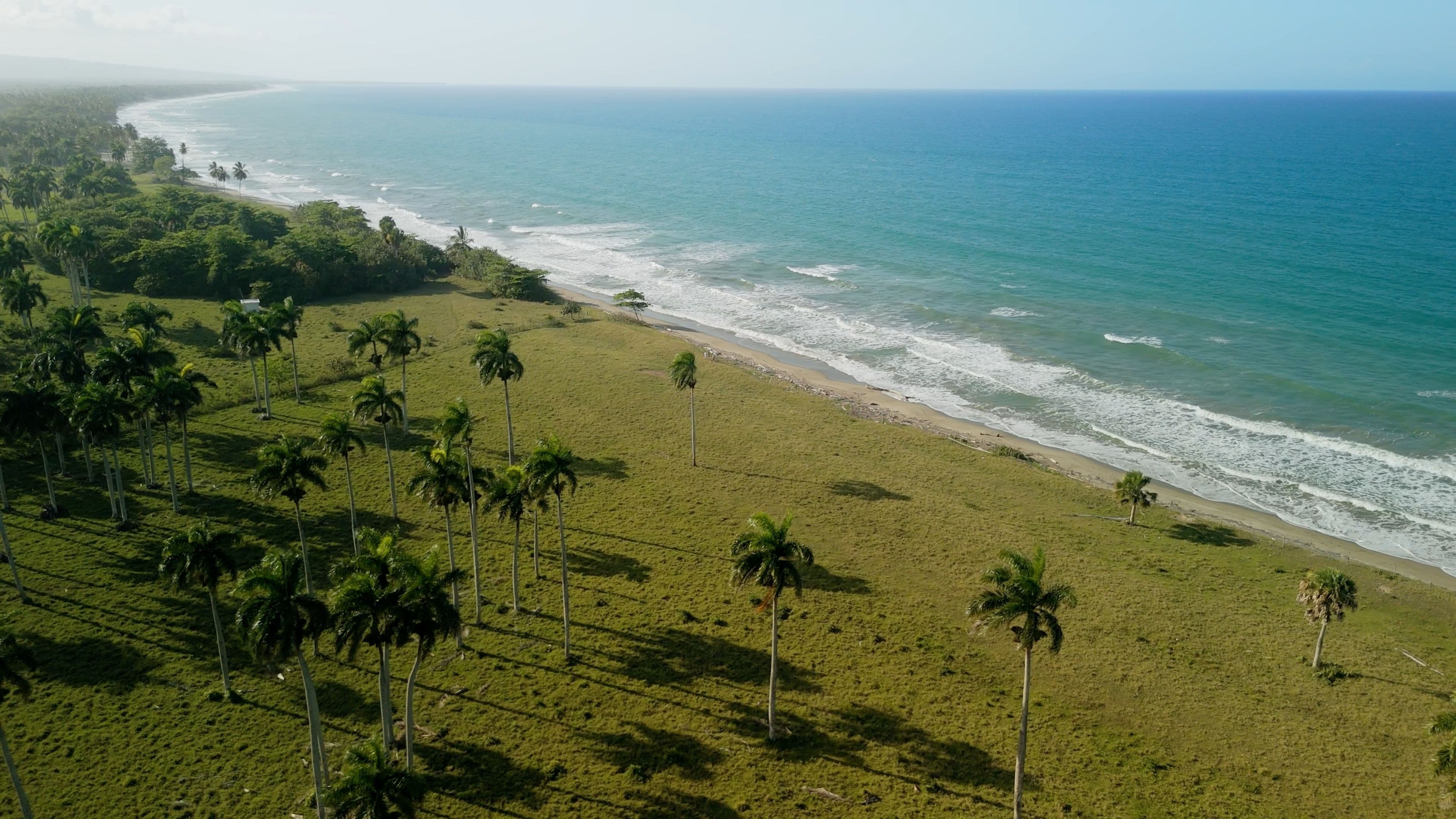 12,500 m² Beachfront Lot in Gaspar Hernández — Surroundings